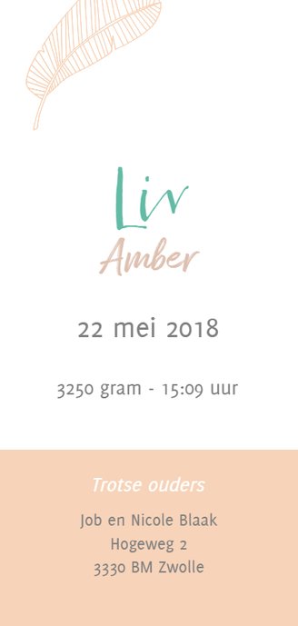Geboortekaart langwerpig met veertjes Achterkant