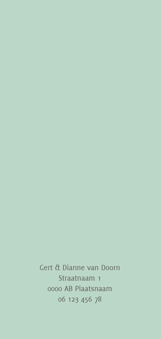 Geboortekaart langwerpig pictogrammen blauw - BC Achterkant