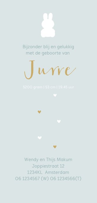 Geboortekaart ledikant jongen Achterkant