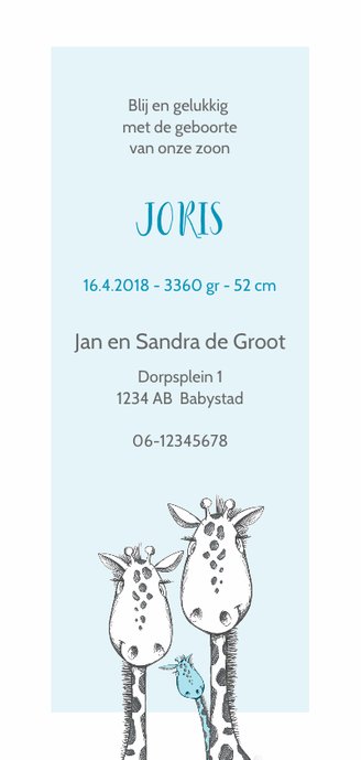 Geboortekaart zwart-wit-blauw giraffe Achterkant