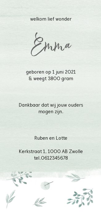 Geboortekaarte langwerpig mint takjes Achterkant