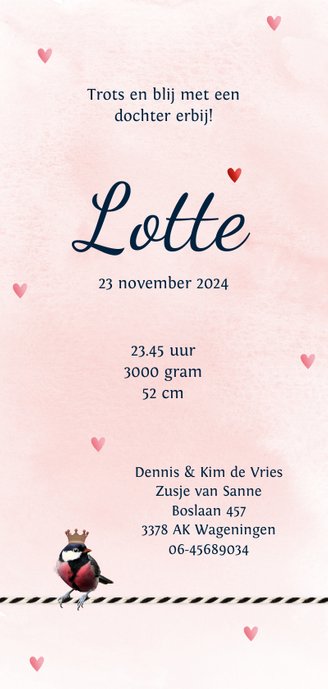 Geboortekaartje aquarel koolmeesje op label dochter Achterkant