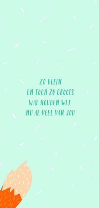 Geboortekaartje baby vos 2