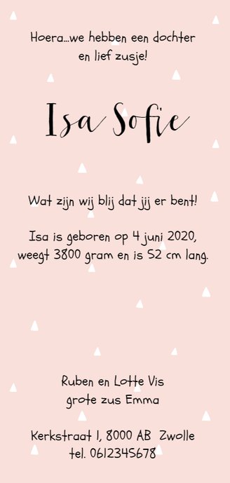 Geboortekaartje beer, aanpasbare achtergrondkleur Achterkant