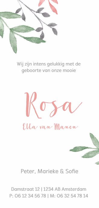 Geboortekaartje botanisch met roze en groene takjes Achterkant