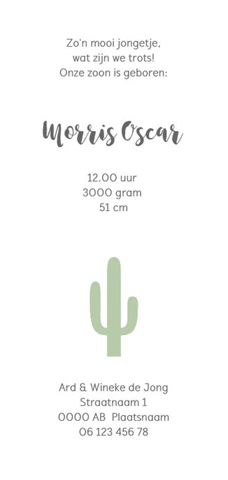 Geboortekaartje cactus groen langwerpig Achterkant