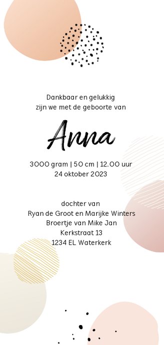 Geboortekaartje cirkels roze tinten staand Achterkant