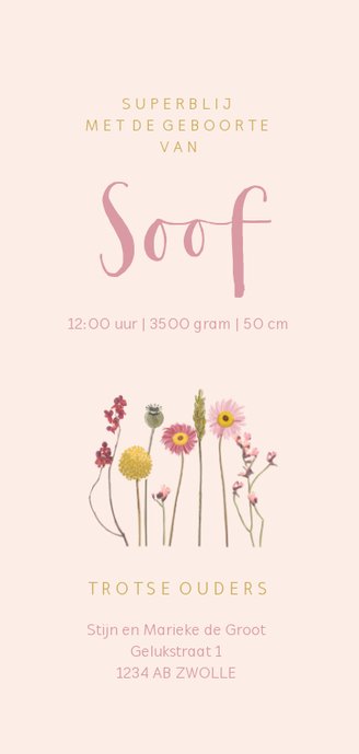 Geboortekaartje droogbloemen roze Achterkant