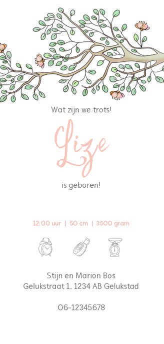 Geboortekaartje hangmatje met tak meisje Achterkant