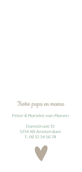 Geboortekaartje hartjesbanner groen Achterkant