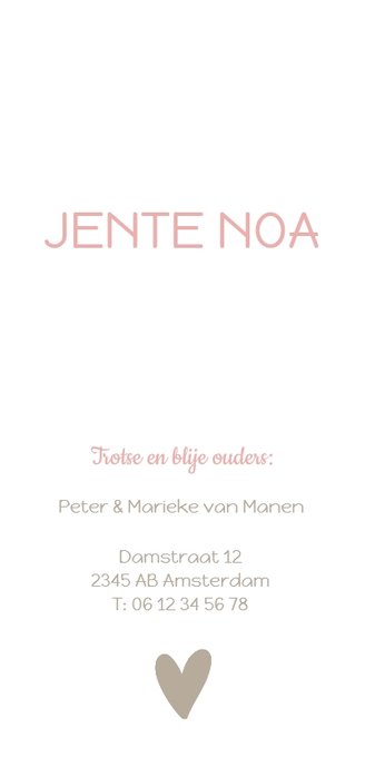 Geboortekaartje hartjesbanner roze Achterkant