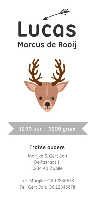 Geboortekaartje hip en trendy met hertje Achterkant