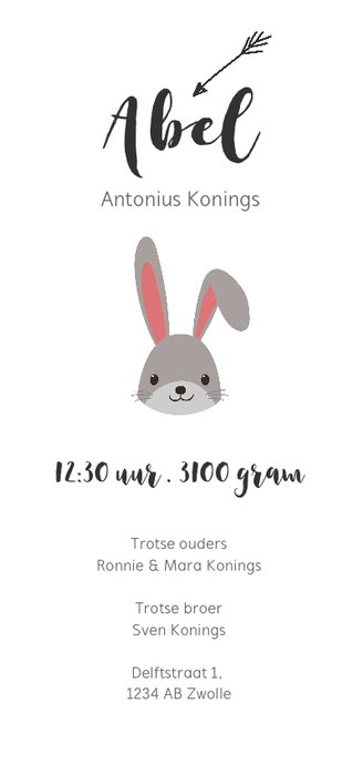 Geboortekaartje hip en trendy met konijn Achterkant
