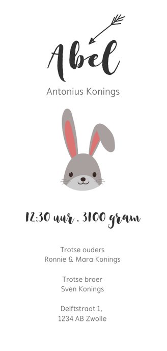 Geboortekaartje hip en trendy met konijn Achterkant