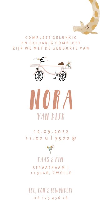 Geboortekaartje hip met giraf op roze fiets illustratie Achterkant