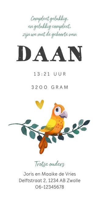 Geboortekaartje jongen bohemian met geïllustreerd vogeltje Achterkant