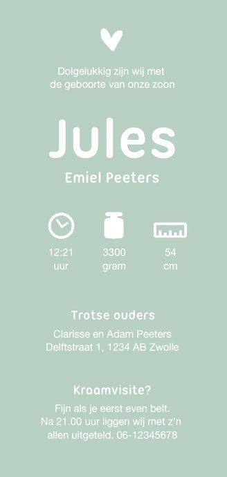 Geboortekaartje jongen simpel met silhouetjes Achterkant