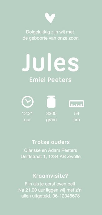 Geboortekaartje jongen simpel met silhouetjes Achterkant