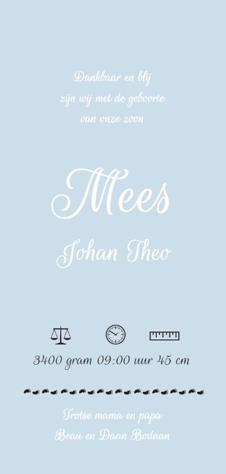 Geboortekaartje jongens voetjes 3