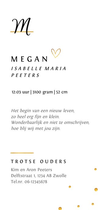 Geboortekaartje klassiek met goudaccenten Achterkant