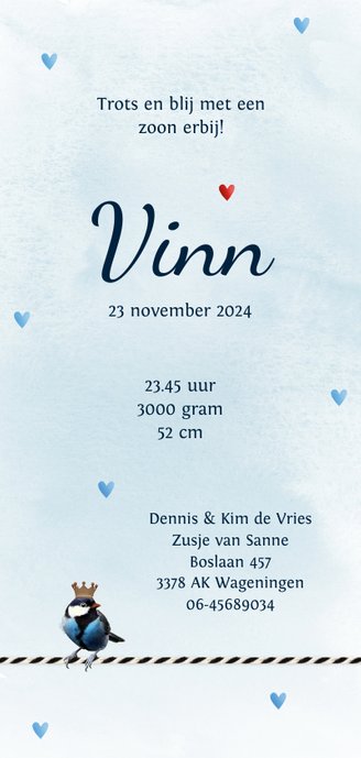 Geboortekaartje koolmeesje aquarel op label zoon Achterkant