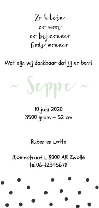 Geboortekaartje lang "Stip" aanpasbare kleur - WW Achterkant
