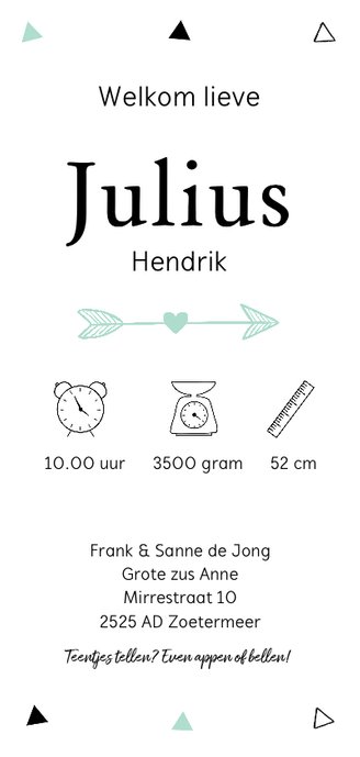 Geboortekaartje langwerpig jongen hartje mintgroen Achterkant