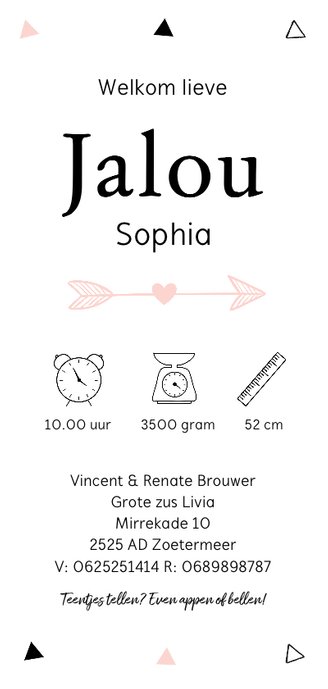 Geboortekaartje langwerpig meisje driehoekjes hartje Achterkant