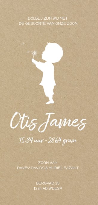 Geboortekaartje langwerpig met jongen en paardenbloem kraft 3