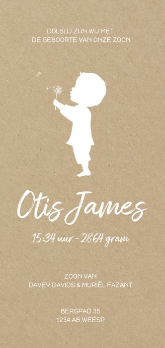 Geboortekaartje langwerpig met jongen en paardenbloem kraft 3