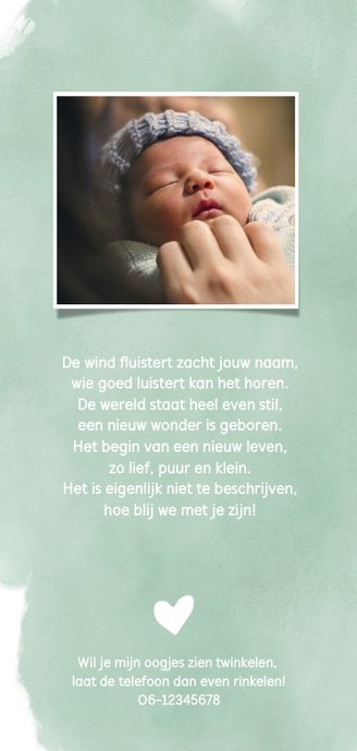 geboortekaartje langwerpig met silhouet paardenbloem 2