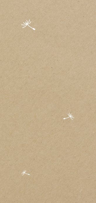 Geboortekaartje langwerpig silhouet meisje met paardebloem Achterkant