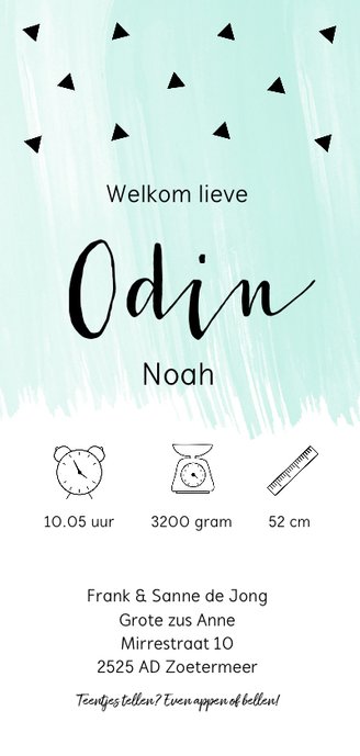 Geboortekaartje langwerpig waterverf mintgroen Achterkant