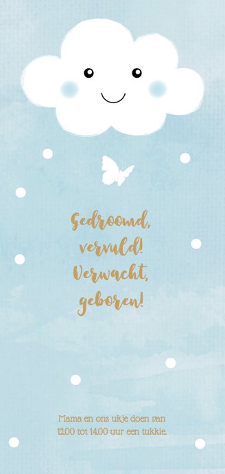 Geboortekaartje langwerpig wolkje blauw jongen 2