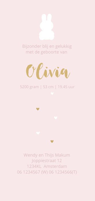 Geboortekaartje ledikant meisje Achterkant