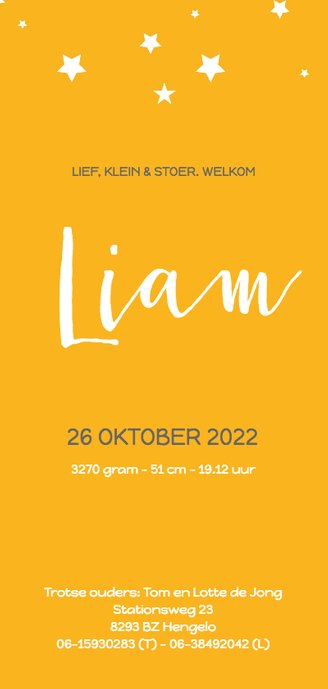 Geboortekaartje_Liam_ster Achterkant