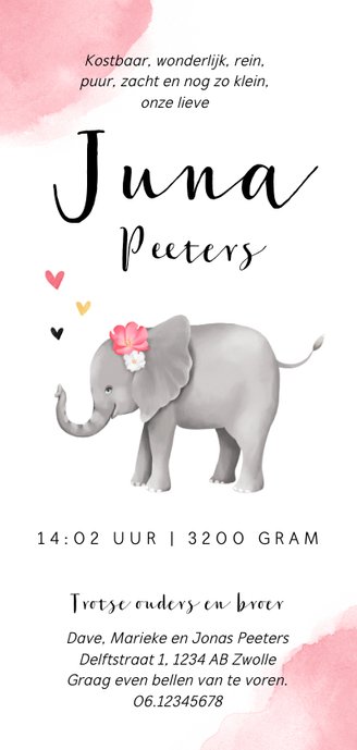 Geboortekaartje lief met olifantje voor meisje Achterkant