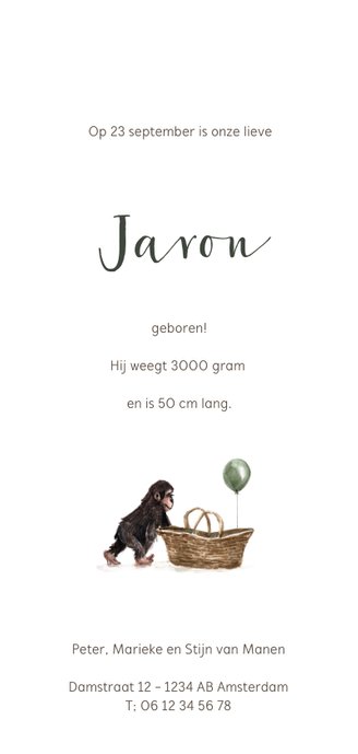 Geboortekaartje mama aap met kleine aap en ballon Achterkant