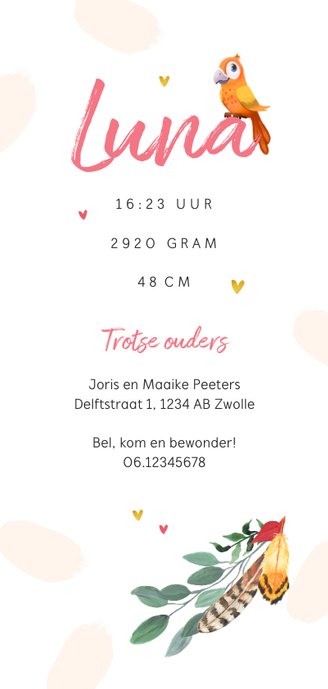 Geboortekaartje meisje veertje vogeltje hartjes Achterkant