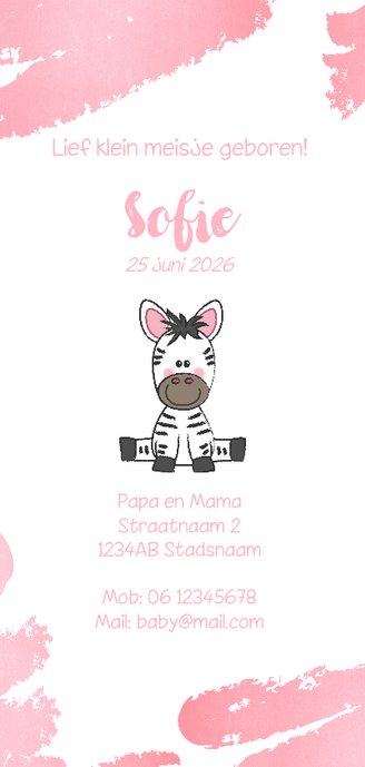 Geboortekaartje met een lieve zebra en twee ballonnen Achterkant