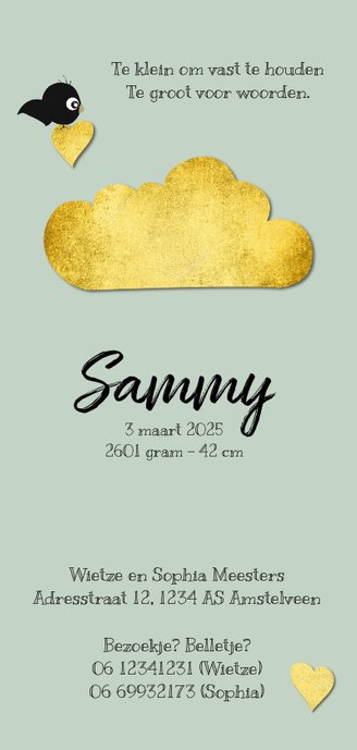 Mooi geboortekaartje met goud accenten en pasteltint Achterkant