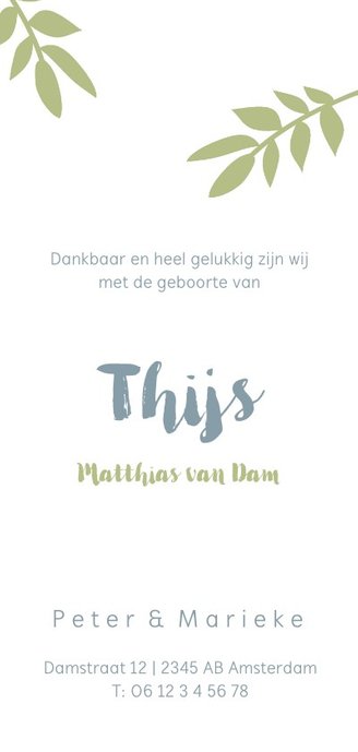 Geboortekaartje met groene takjes en blauwe letters Achterkant