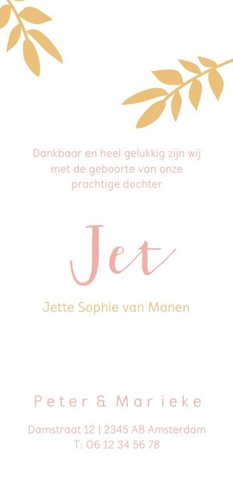 Geboortekaartje met okergele takjes en roze letters Achterkant