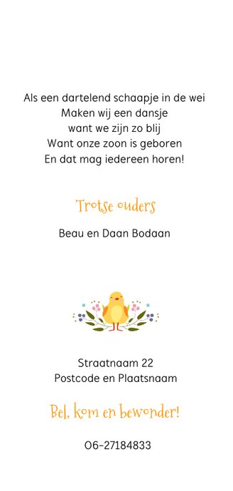 Geboortekaartje schaapje en kuikentje Achterkant
