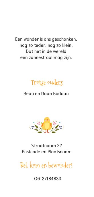 Geboortekaartje schaapje en kuikentje Achterkant