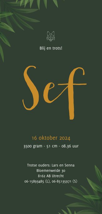 Geboortekaartje Sef Achterkant