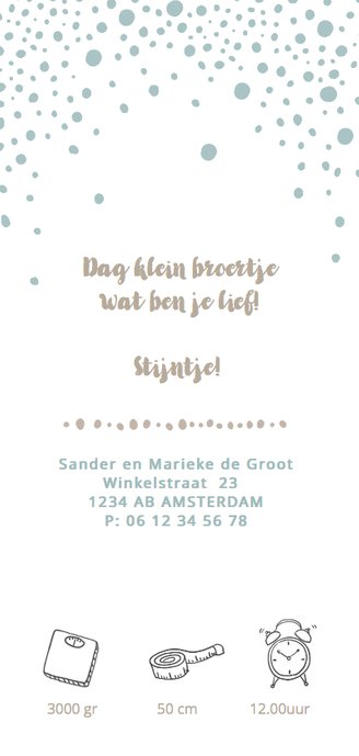 Geboortekaartje slee broertje av Achterkant