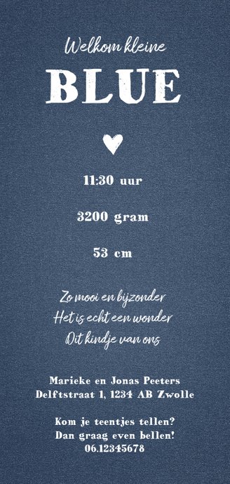 Geboortekaartje stoer met luipaard print Achterkant