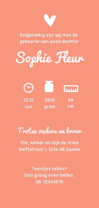 Geboortekaartje tijdloos en simpel met silhouetjes Achterkant