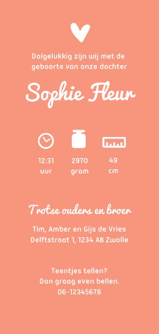 Geboortekaartje tijdloos en simpel met silhouetjes Achterkant